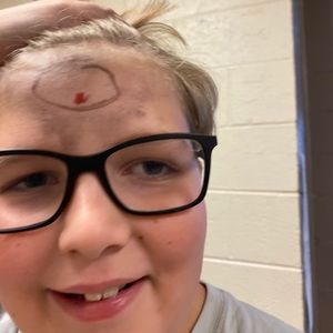 Meet your Posher, Beau